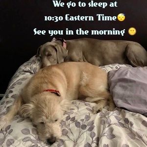 No Late Night Posh. 😴